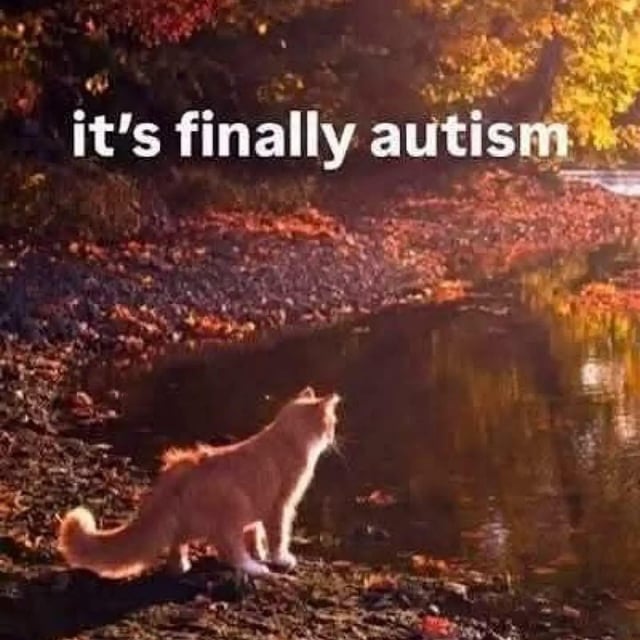 It's Finally Autism